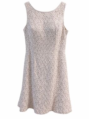 White House Black Market Sleeveless Lace Mini Dress in Light Taupe